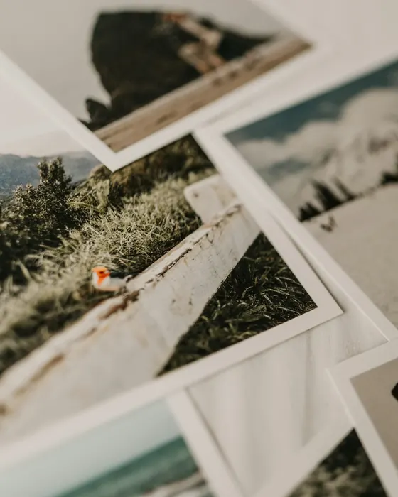 A collection of printed travel photographs